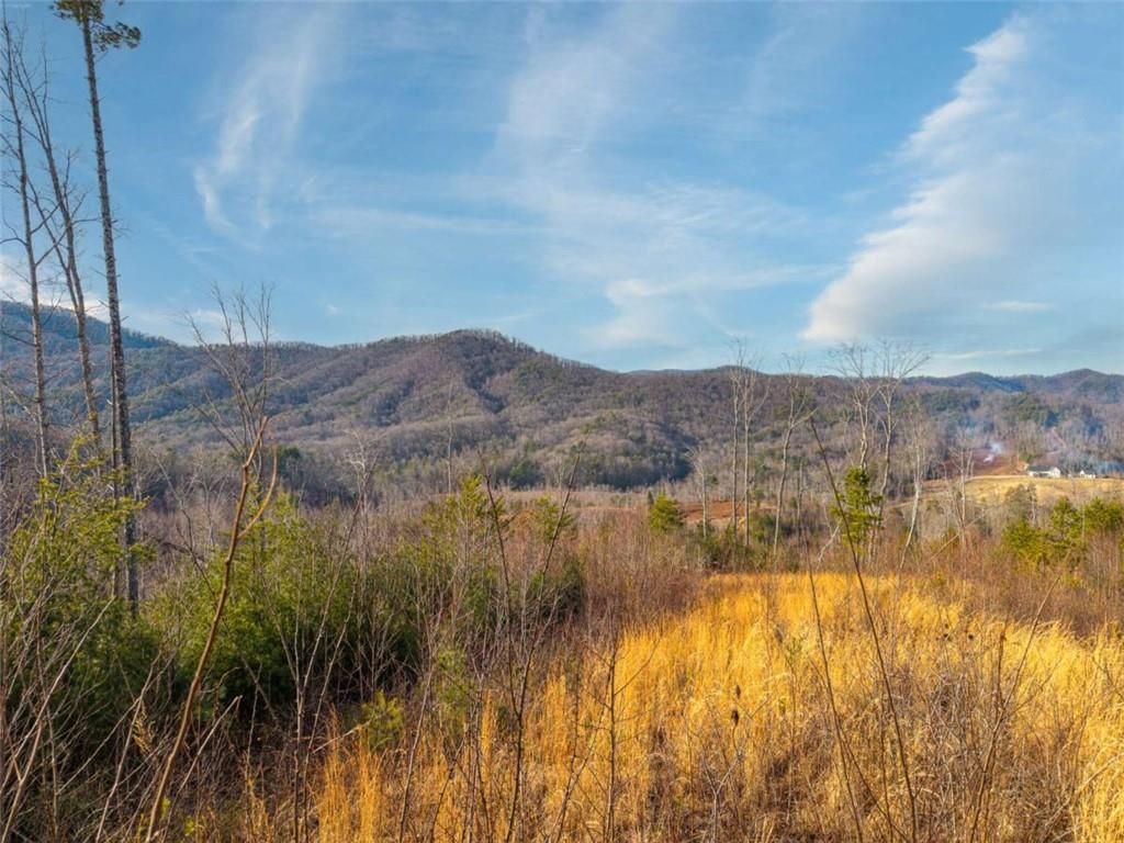 Image 7 of property listing at 156+ Higdon Creek Road, Blue Ridge, GA 30513