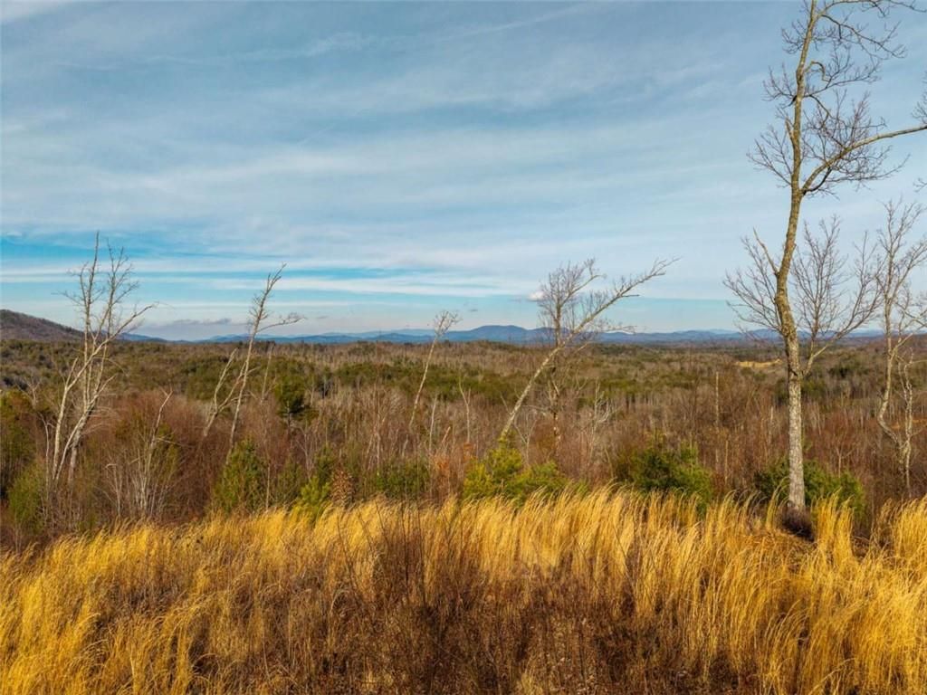 Image 8 of property listing at 156+ Higdon Creek Road, Blue Ridge, GA 30513