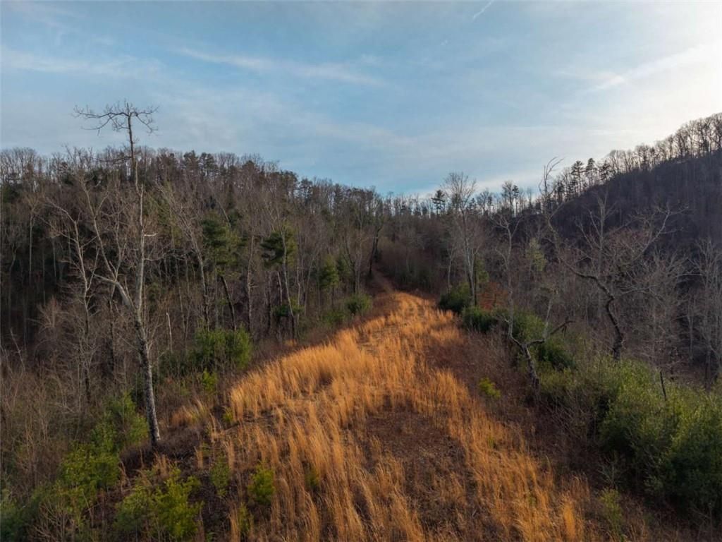 Image 9 of property listing at 156+ Higdon Creek Road, Blue Ridge, GA 30513