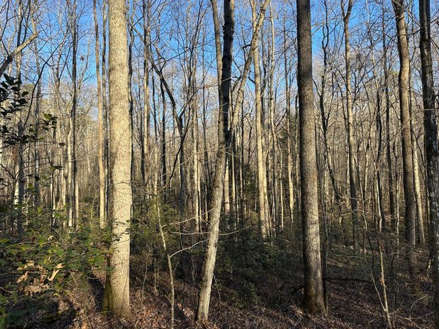 550 E 312, Corbin, KY 40701