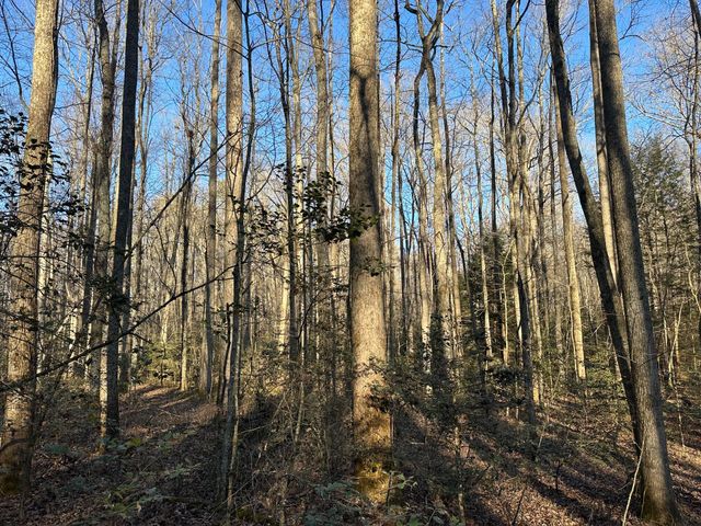 550 E 312, Corbin, KY 40701