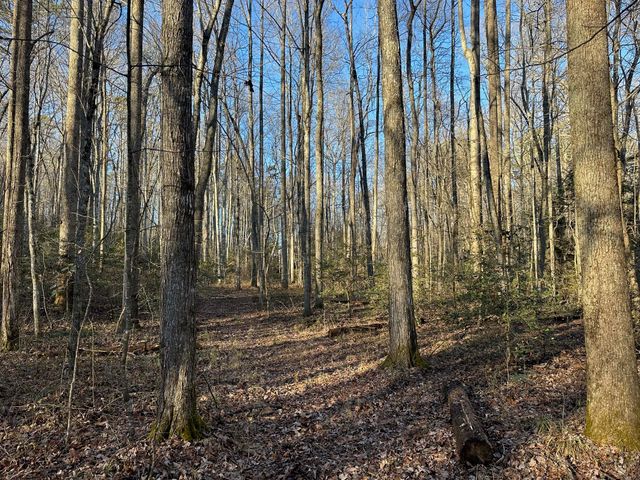 550 E 312, Corbin, KY 40701