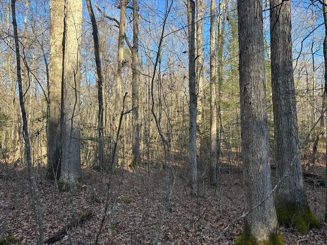 550 E 312, Corbin, KY 40701