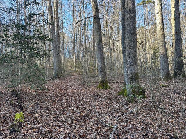 550 E 312, Corbin, KY 40701