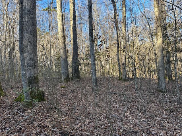 550 E 312, Corbin, KY 40701