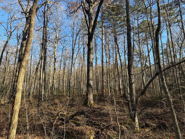 550 E 312, Corbin, KY 40701