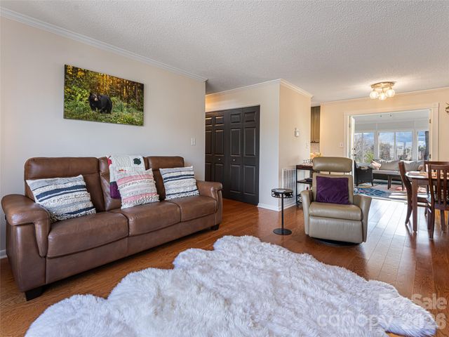 2F Lynx Drive, Black Mountain, NC 28711