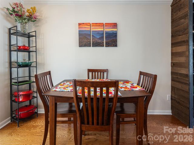 2F Lynx Drive, Black Mountain, NC 28711