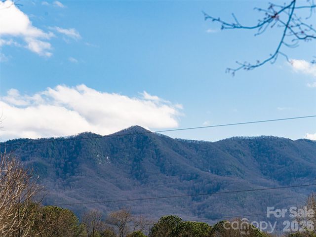 2F Lynx Drive, Black Mountain, NC 28711
