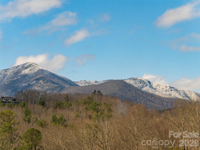 2F Lynx Drive, Black Mountain, NC 28711