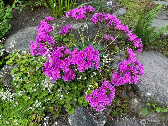 1910 NW 97th Street, Seattle, WA 98117