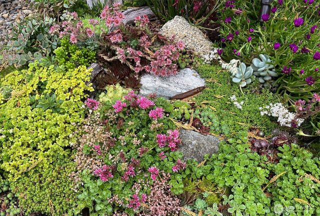 1910 NW 97th Street, Seattle, WA 98117