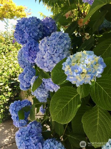 1910 NW 97th Street, Seattle, WA 98117