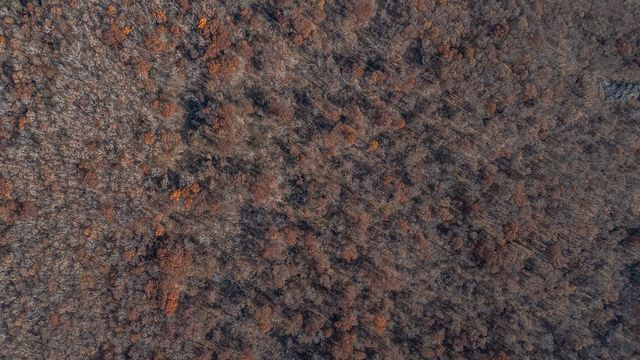 16293 Highway 265, West Fork, AR 72774