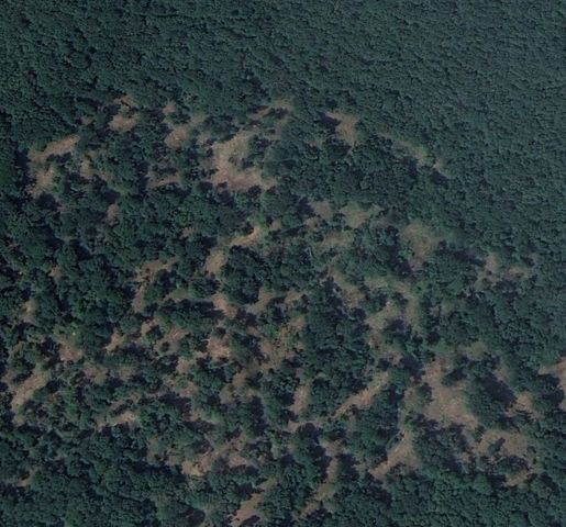 16293 Highway 265, West Fork, AR 72774