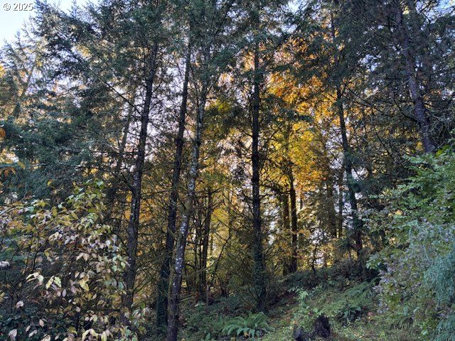 16003 Se CIELO Ct, Damascus, OR 97089