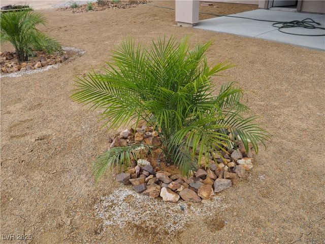 6141 South Lisa Lane 1, Pahrump, NV 89048