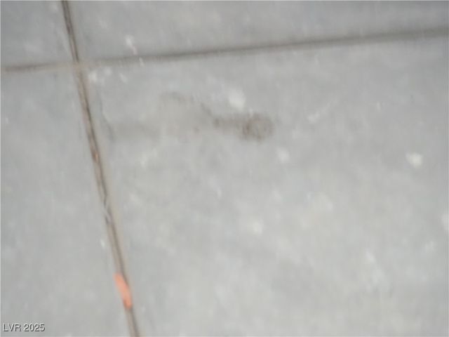 6141 South Lisa Lane 1, Pahrump, NV 89048