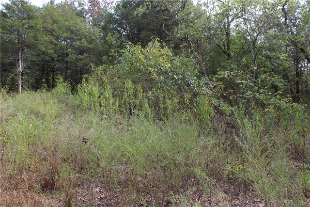 TBD Cr-2322, Beaver, AR 72631