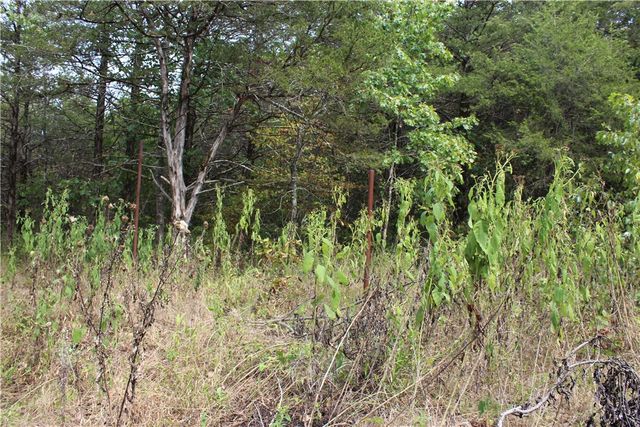 TBD Cr-2322, Beaver, AR 72631