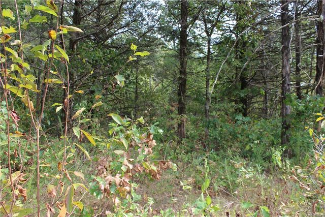 TBD Cr-2322, Beaver, AR 72631