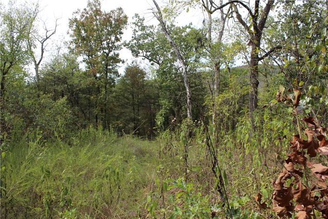 TBD Cr-2322, Beaver, AR 72631