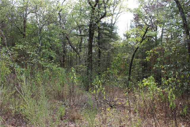 TBD Cr-2322, Beaver, AR 72631