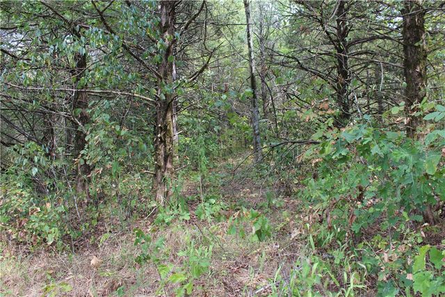 TBD Cr-2322, Beaver, AR 72631