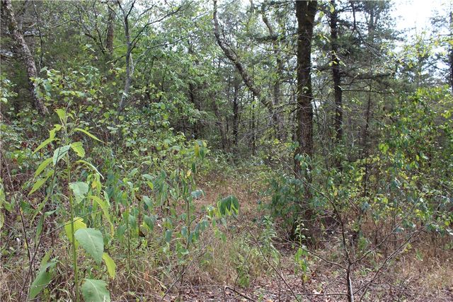 TBD Cr-2322, Beaver, AR 72631