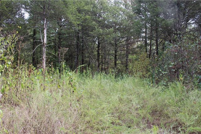 TBD Cr-2322, Beaver, AR 72631