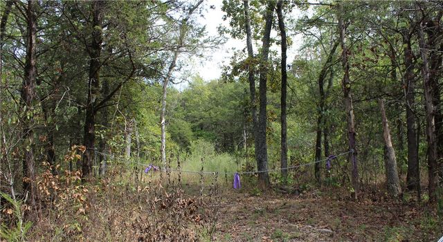 TBD Cr-2322, Beaver, AR 72631