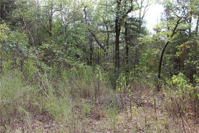 TBD Cr-2322, Beaver, AR 72631