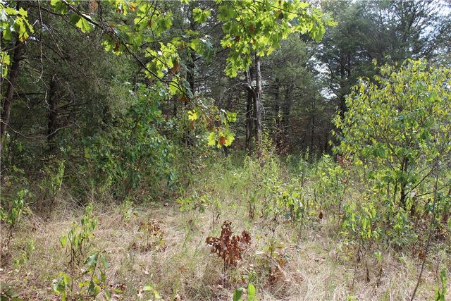 TBD Cr-2322, Beaver, AR 72631