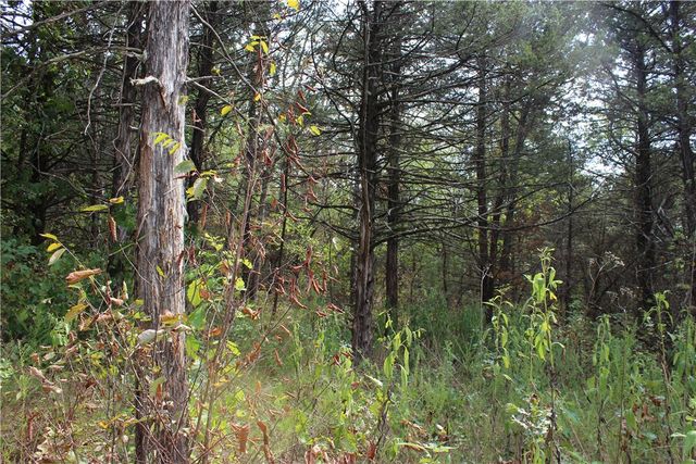 TBD Cr-2322, Beaver, AR 72631