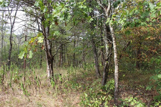 TBD Cr-2322, Beaver, AR 72631