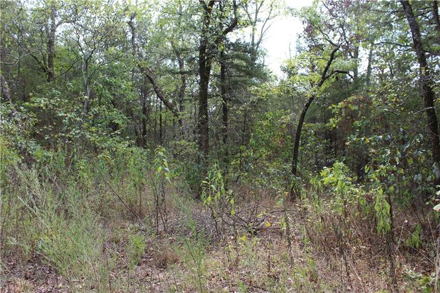 TBD Cr-2322, Beaver, AR 72631
