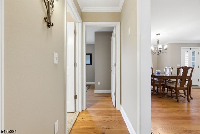 309 Turkey Top Rd, Lebanon Twp., NJ 07865