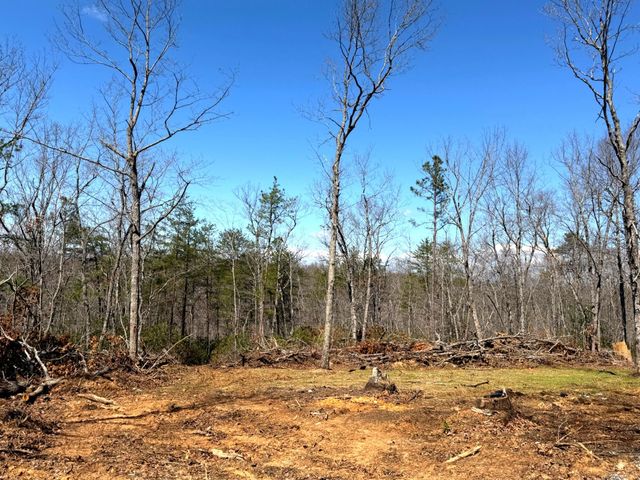1419 Parkwood CT, Huddleston, VA 24104