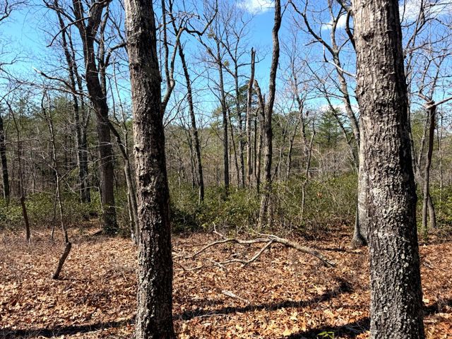 1419 Parkwood CT, Huddleston, VA 24104