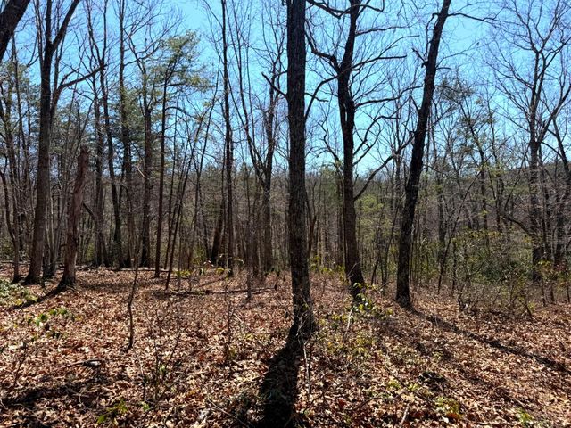 1419 Parkwood CT, Huddleston, VA 24104