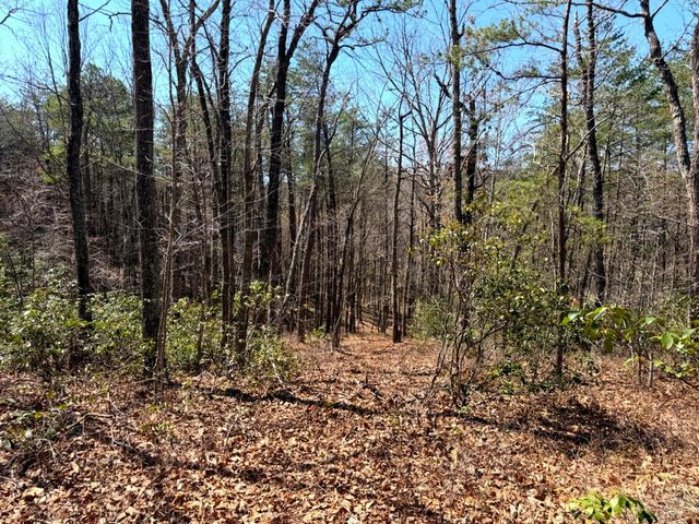 1419 Parkwood CT, Huddleston, VA 24104
