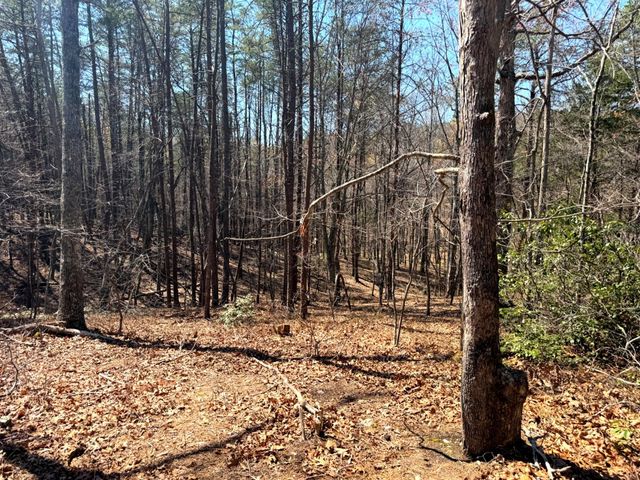 1419 Parkwood CT, Huddleston, VA 24104
