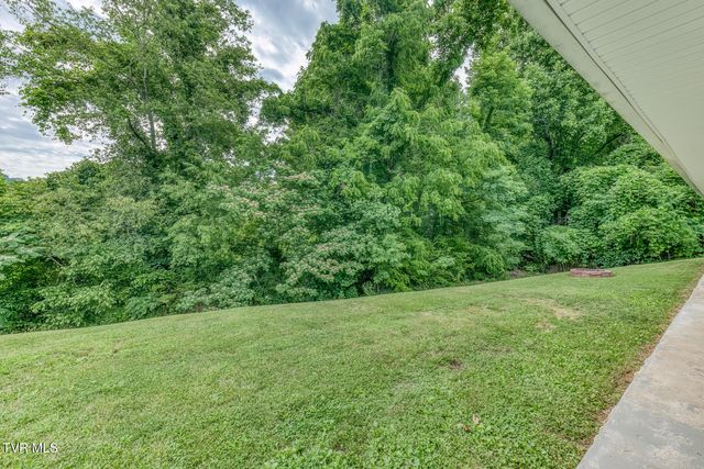 124 Tolley Lane, Erwin, TN 37650