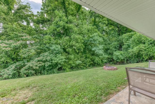124 Tolley Lane, Erwin, TN 37650