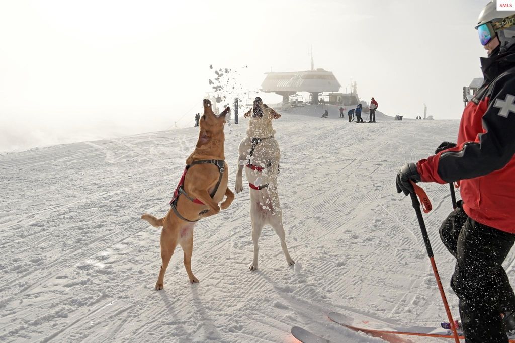 Crystal View L1 and L2 B3, Sandpoint, ID 83864 photo 38