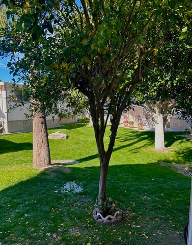 84136 Avenue 44 176, Indio, CA 92203