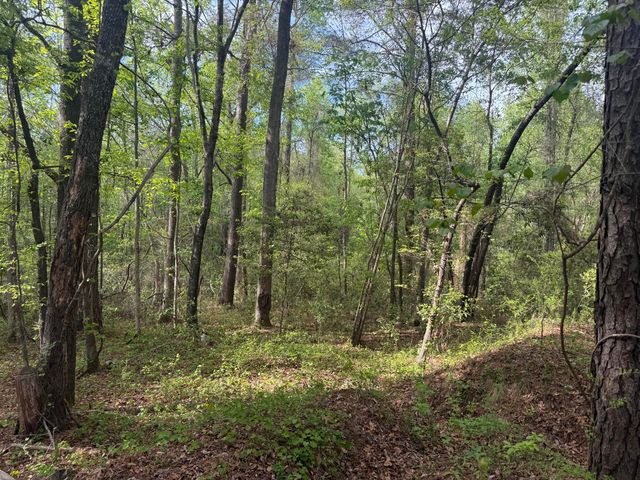 4255 Wedgefield Road, Sumter, SC 29154