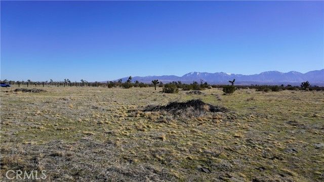 0 118th, Sun Village, CA 93543