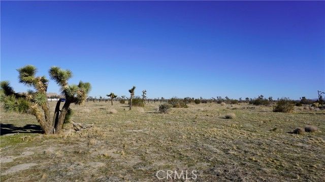 0 118th, Sun Village, CA 93543