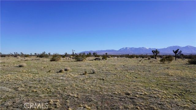 0 118th, Sun Village, CA 93543